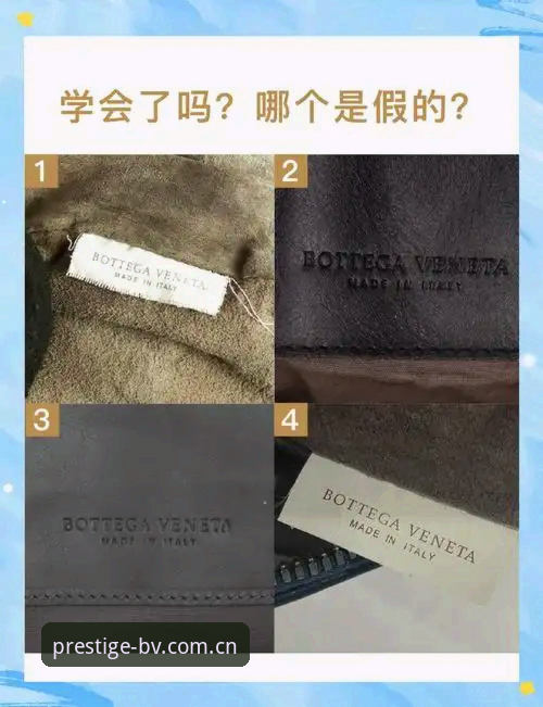 揭秘BV最新版本哪个好：这些隐藏特性你未必知道