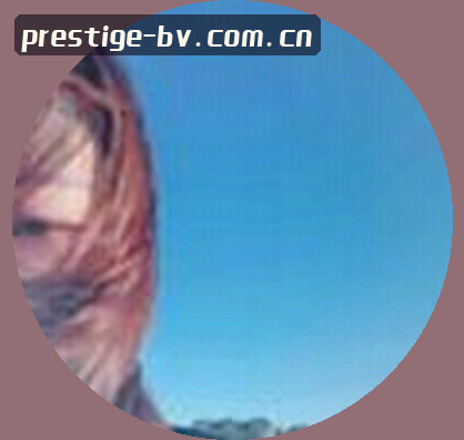 李女士